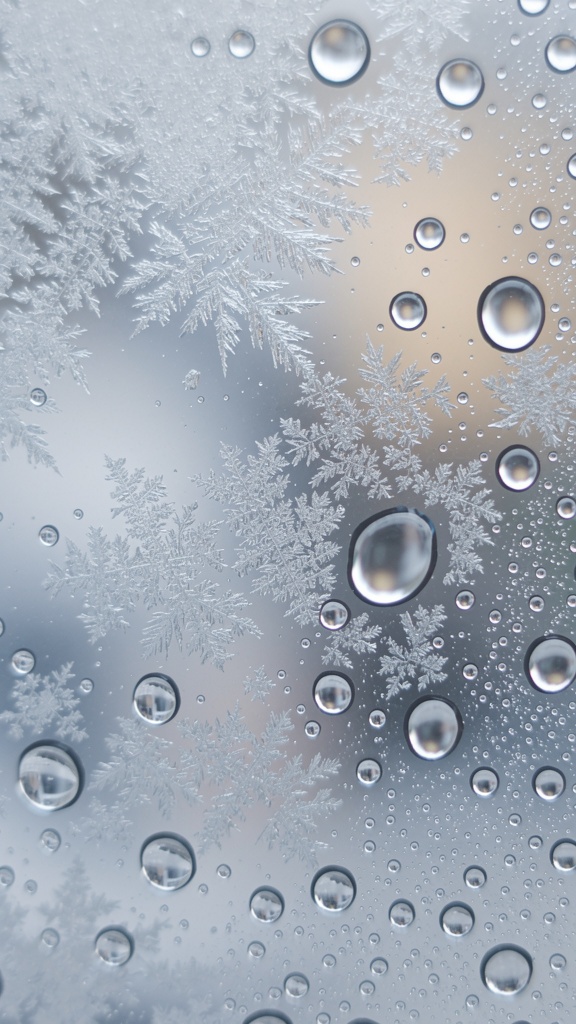 Winter Frost